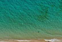 Statistiche Cagliari Calcio – Inter: Scopri Dati Sorprendenti!