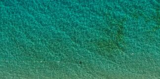 Statistiche Cagliari Calcio – Inter: Scopri Dati Sorprendenti!