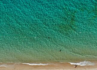 Statistiche Cagliari Calcio – Inter: Scopri Dati Sorprendenti!