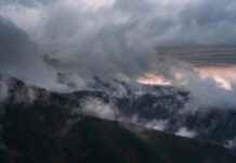 Statistiche AS Roma – Atalanta: Dati Da Non Perdere Statistiche AS Roma - Atalanta: Dati Da Non Perdere