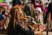 Statistiche AS Roma – Parma Calcio 1913: Chi Ha Vinto? Statistiche AS Roma - Parma Calcio 1913: Chi Ha Vinto?