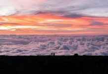 Statistiche Atalanta – AS Roma: Chi Ha Prevalso? Statistiche Atalanta - AS Roma: Chi Ha Prevalso?