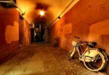 Statistiche Bologna FC – Juventus: Svolta Inattesa? Statistiche Bologna FC - Juventus: Svolta Inattesa?