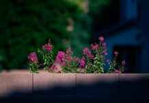 Statistiche Bologna FC – Udinese Calcio: Chi Ha Sorpreso? Statistiche Bologna FC - Udinese Calcio: Chi Ha Sorpreso?