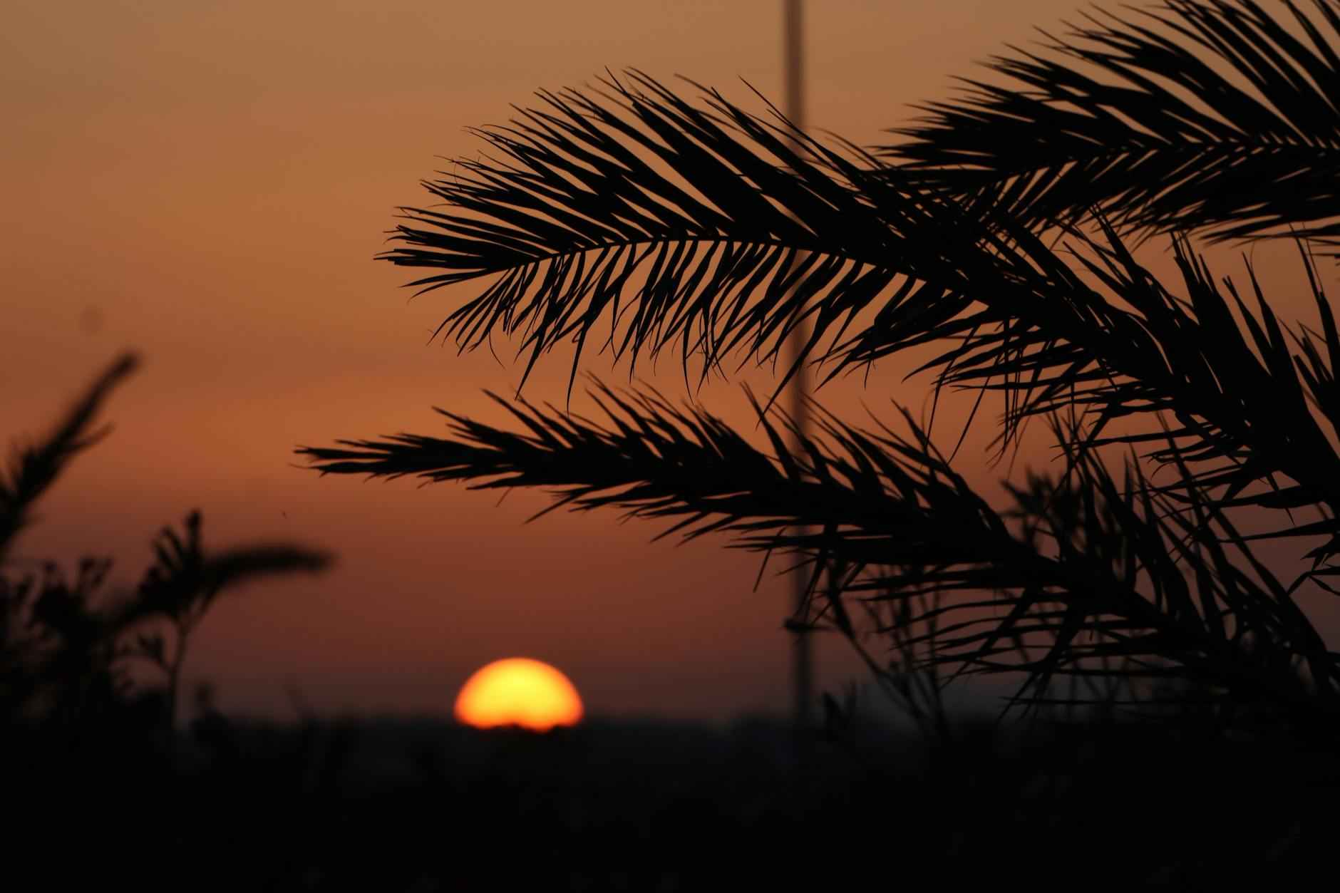 Storia delle Sfide Dirette