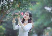 Statistiche Di Artem Dovbyk: Il Nuovo Bomber? Statistiche Di Artem Dovbyk: Il Nuovo Bomber?