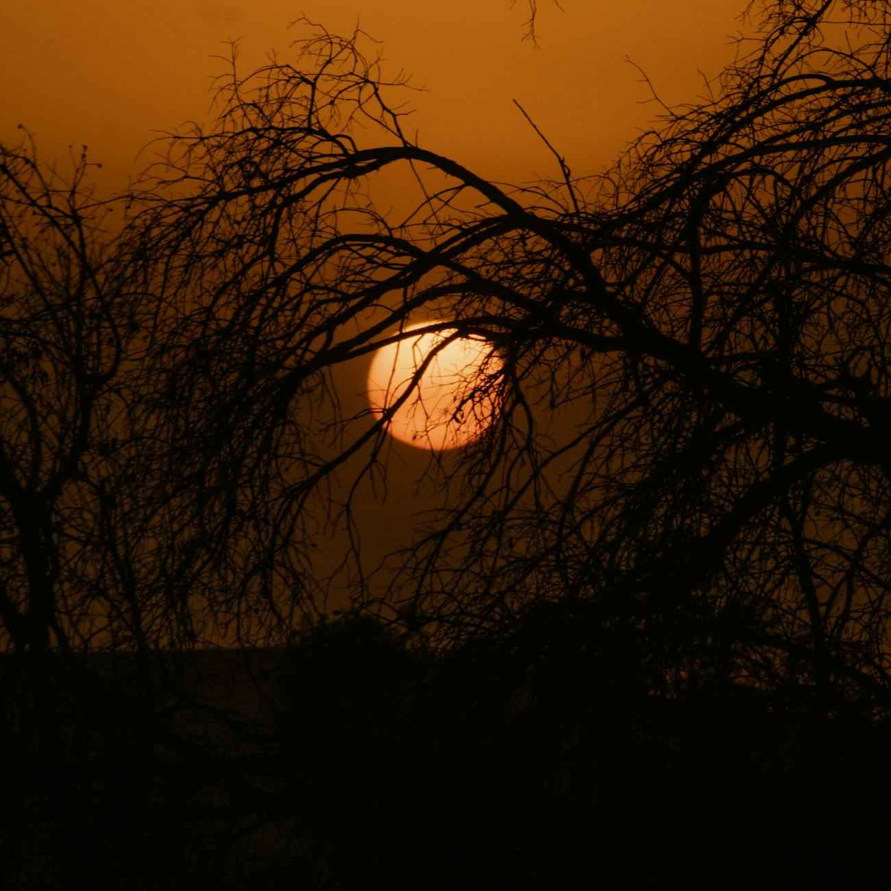 Statistiche Di Dusan Vlahovic: Gol, Assist E Prestazioni 4 Prestazioni in Nazionale