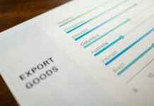 Statistiche Di Paulo Dybala: Genio E Fantasia In Statistiche # Statistiche Di Paulo Dybala: Genio E Fantasia In Statistiche Statistiche Di Paulo Dybala: Genio E Fantasia In Statistiche # Statistiche Di Paulo Dybala: Genio E Fantasia In Statistiche