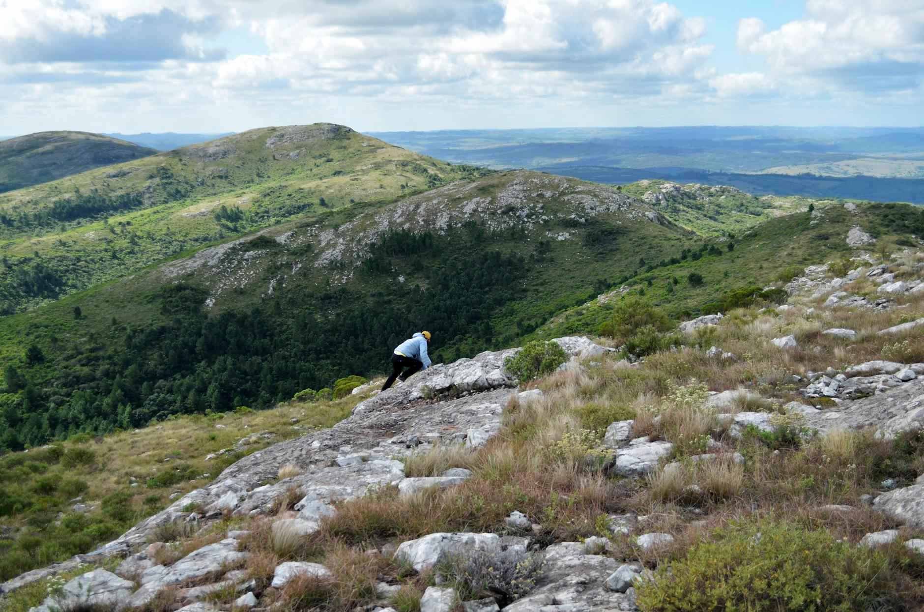 Statistiche Di Romelu Lukaku: Potenza E Gol Garantiti 1 Chi È Romelu Lukaku?