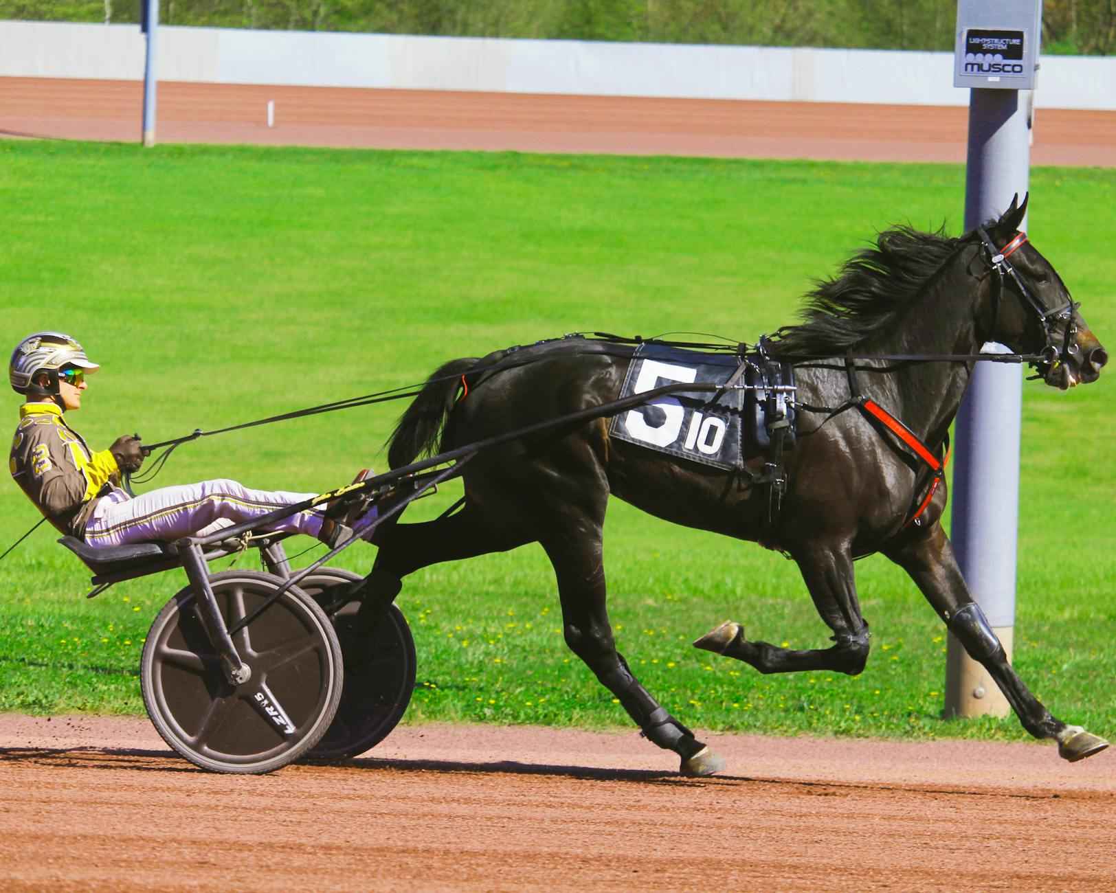 Statistiche Di Romelu Lukaku: Potenza E Gol Garantiti 4 Il Suo Stile di Gioco