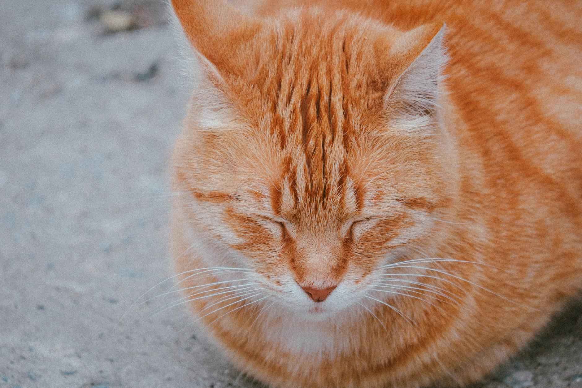 Statistiche Recenti di Empoli