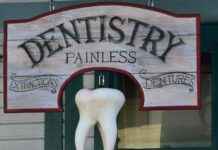 Statistiche Fiorentina – Società Sportiva Lazio: Duello Inedito Statistiche Fiorentina - Società Sportiva Lazio: Duello Inedito