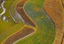 Statistiche Giocatore Della Partita Golden State Warriors – Lakers Statistiche Giocatore Della Partita Golden State Warriors - Lakers