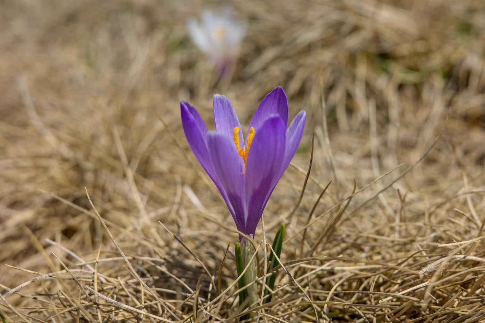 Statistiche Giocatore Della Partita Milwaukee Bucks - Pacers 5 Falli
