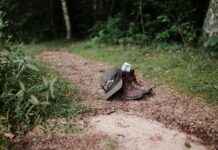 Statistiche Torino Football Club – Società Sportiva Calcio Napoli Statistiche Torino Football Club - Società Sportiva Calcio Napoli # Statistiche Torino Football Club - Società Sportiva Calcio Napoli